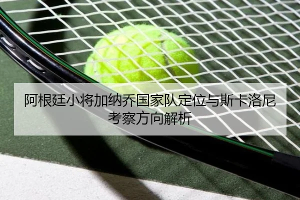阿根廷小将加纳乔国家队定位与斯卡洛尼考察方向解析
