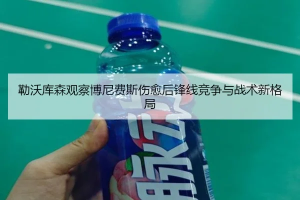 勒沃库森观察博尼费斯伤愈后锋线竞争与战术新格局（kaiyun）