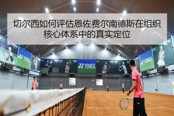 切尔西如何评估恩佐费尔南德斯在组织核心体系中的真实定位 | kaiyun